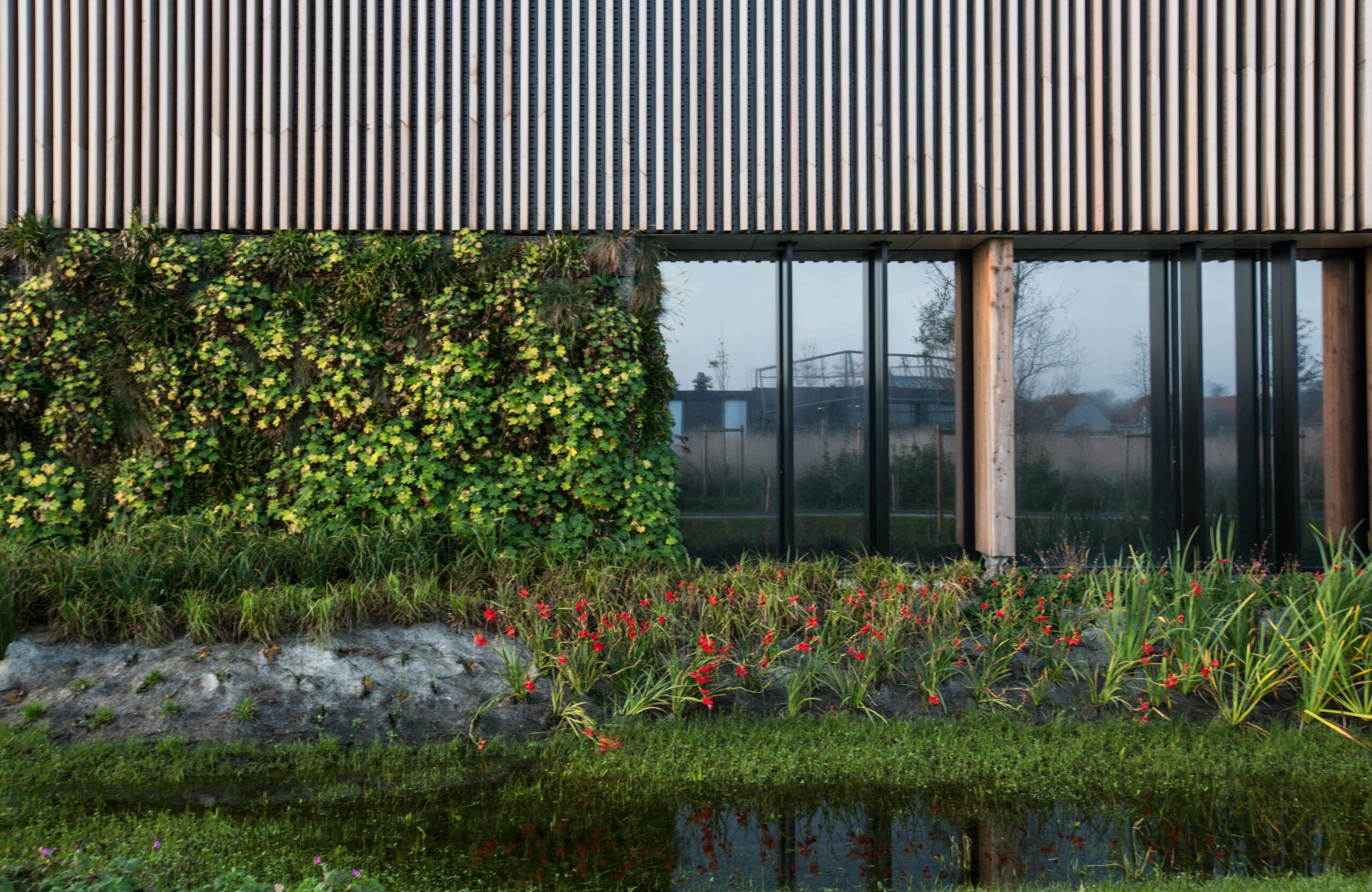 nos valeurs polynome